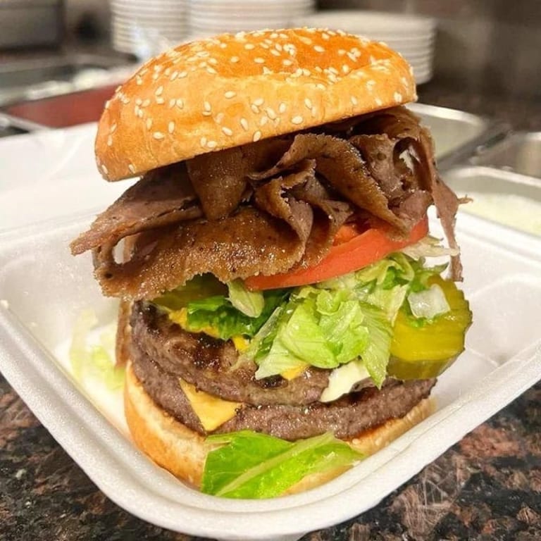 Delicious Gyro Burger and More