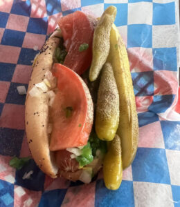 Chicago Dog